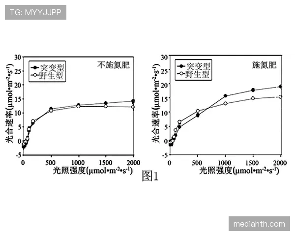 多特关键比赛表现问题逐步反映，对赛季走势形成制约